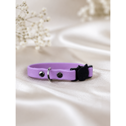 Collier pour chat