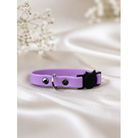 Collier pour chat
