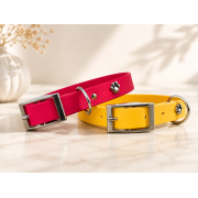 Colliers pour chiens